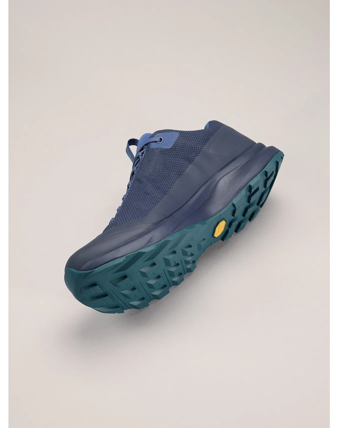 Aerios GTX Shoe